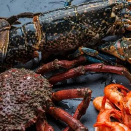 Estudio Impresionantes Vistas Con Terraza Y Piscina Appartamento